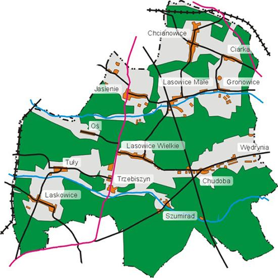 nr 45 (Złoczew-Chałupki, granica państwa), a północno-wschodnim skrajem odcinek drogi krajowej nr 11 (Kołobrzeg-Bytom). Gmina Lasowice Wielkie powstała w 1945 r. wraz z przyjęciem na tzw.