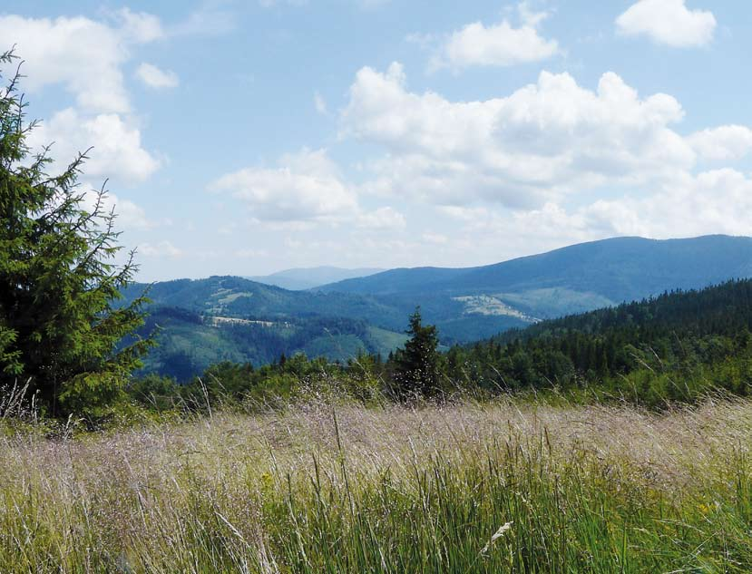 Natura 2000 w Karpatach BESKID ŻYWIECKI Panorama
