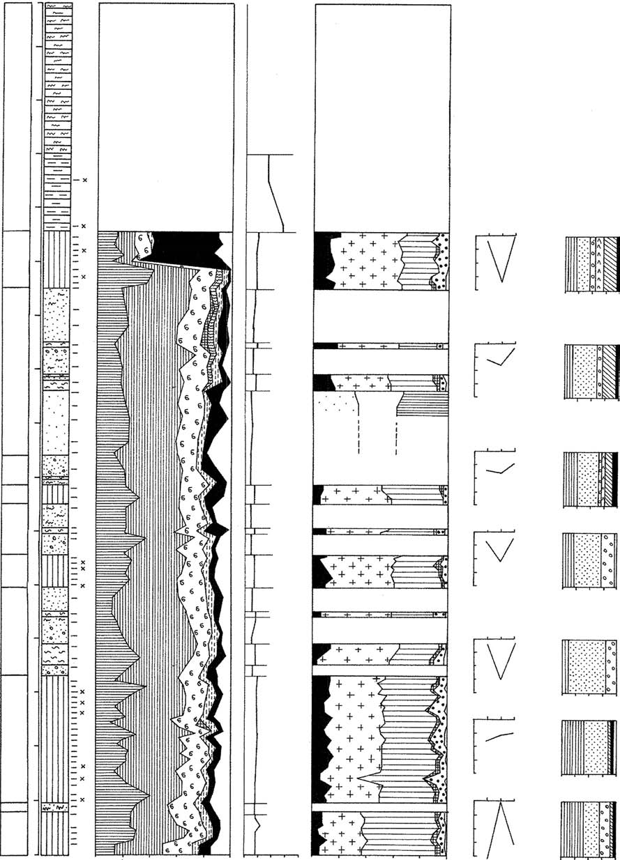 60 Dariusz Krzyszkowski Fig. 4. Profile litologiczne oraz cechy mineralogiczno-petrograficzne osadów w otworach wiertniczych: A Strzepowo (2/U) i B Ko³obrzeg (1/K) (ci¹g dalszy na str.