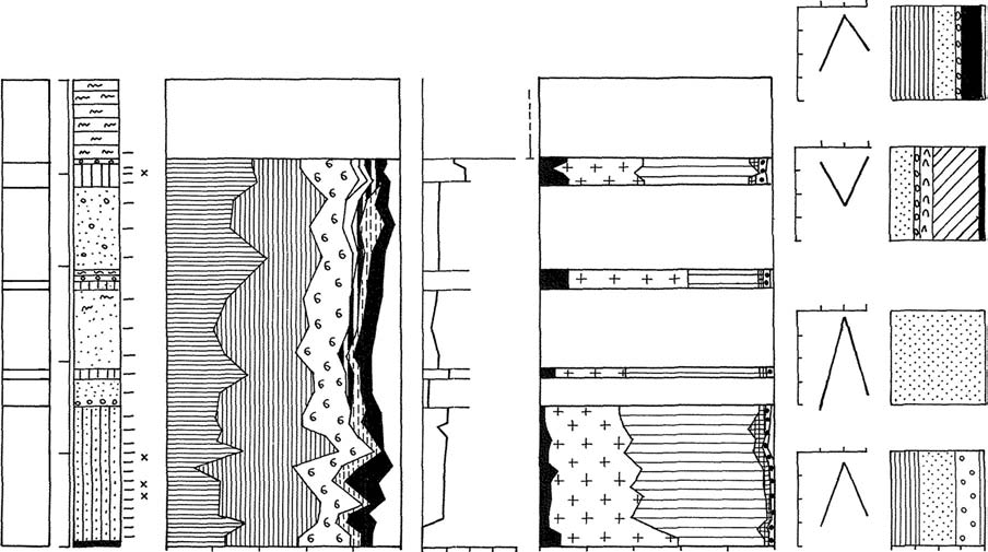 Stratygrafia, petrografia i paleogeografia glin lodowcowych