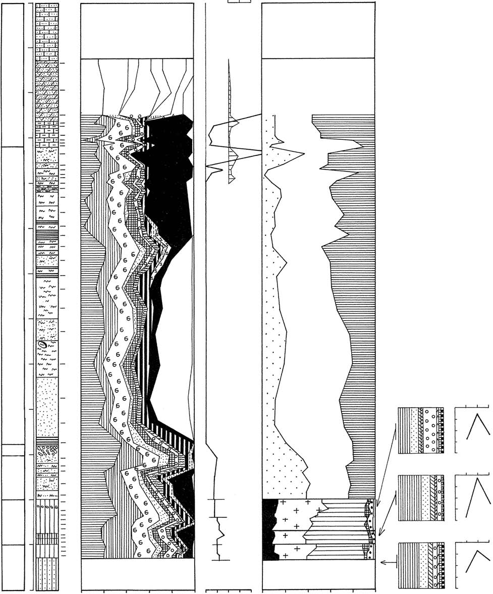Stratygrafia, petrografia i paleogeografia glin lodowcowych