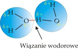 Wiązania wodorowe Jest to słabe oddziaływanie elektrostatyczne pomiędzy elektroujemnym atomem (akceptorem), a atomem wodoru, który jest