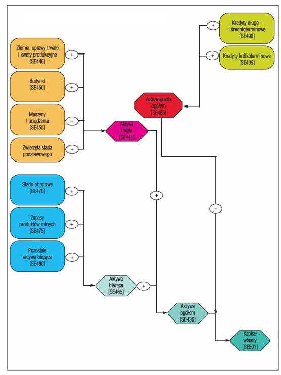 Schemat 7. Sposób prezentacji bilansu finansowego gospodarstwa rolnego Bilans finansowy gospodarstwa rolnego prezentowany jest w formie syntetycznej.