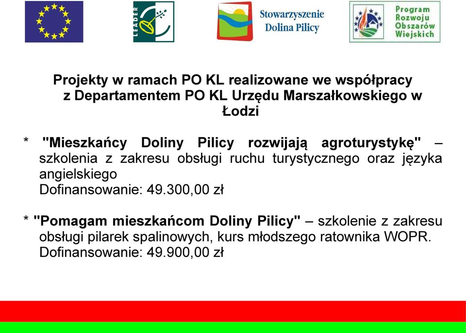 turystycznego oraz języka angielskiego Dofinansowanie: 49.