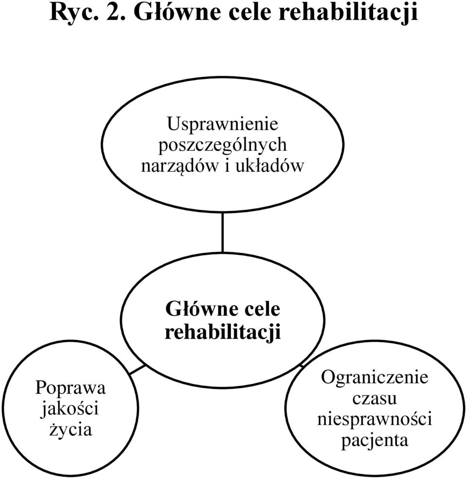 poszczególnych narządów i układów Główne