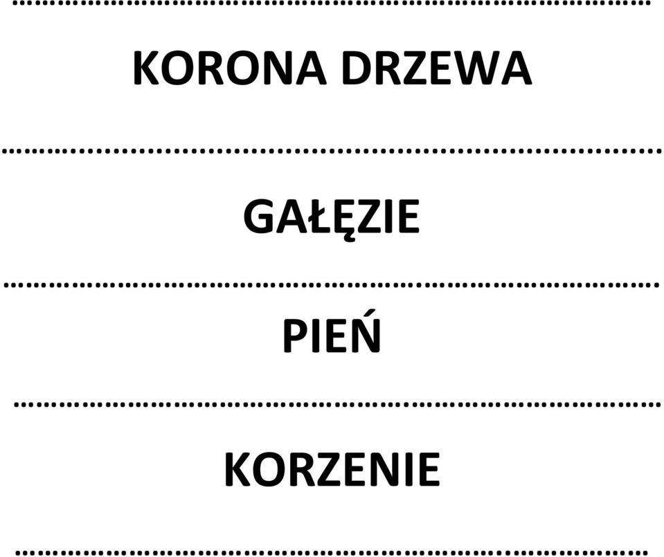 .. GAŁĘZIE.