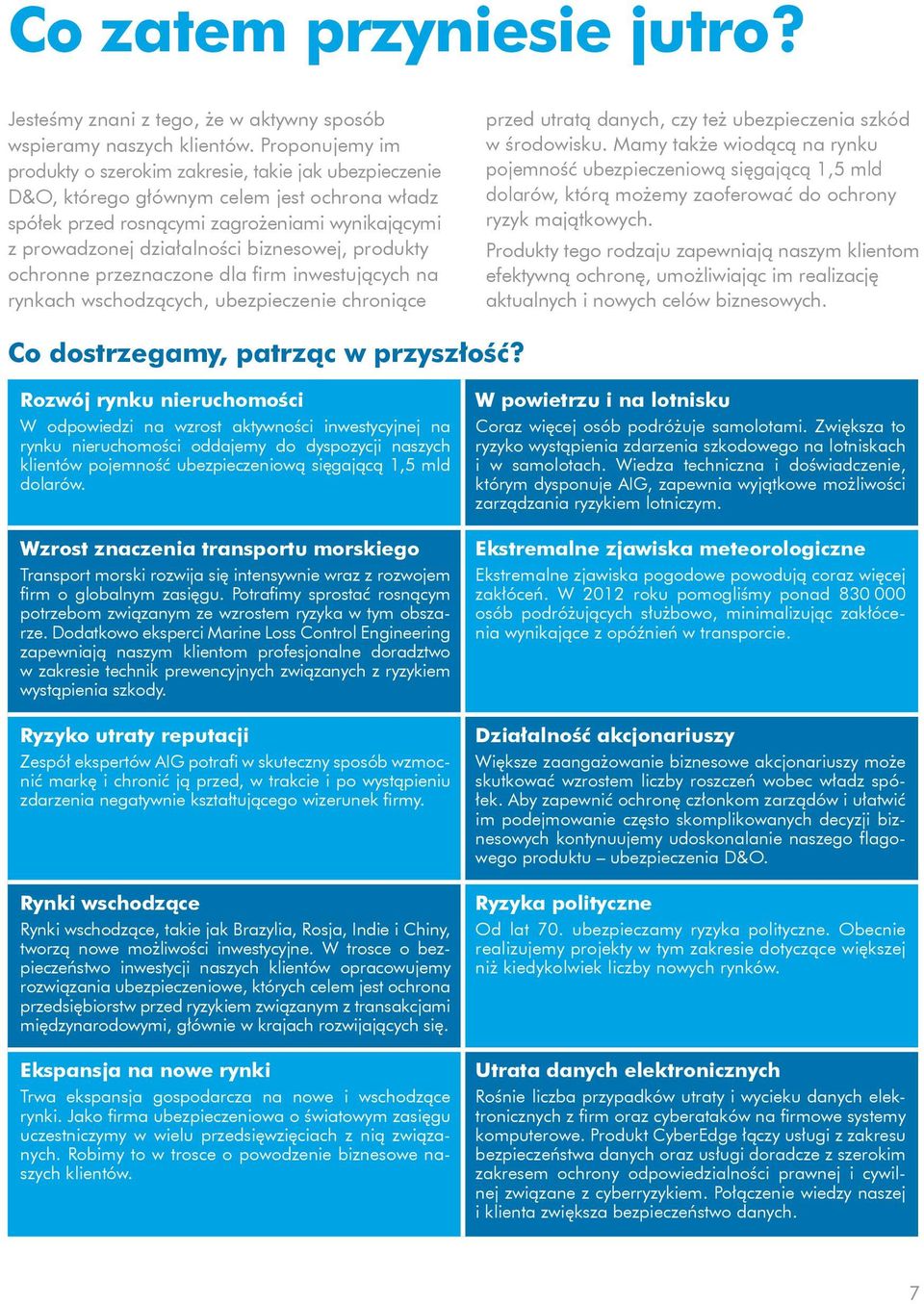 biznesowej, produkty ochronne przeznaczone dla firm inwestujących na rynkach wschodzących, ubezpieczenie chroniące przed utratą danych, czy też ubezpieczenia szkód w środowisku.