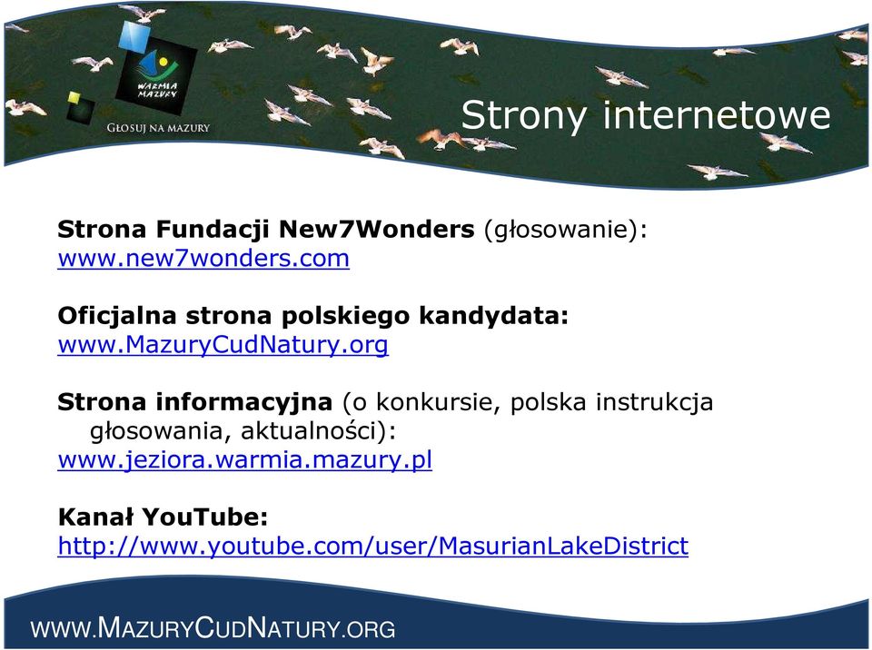 org Strona informacyjna (o konkursie, polska instrukcja głosowania,