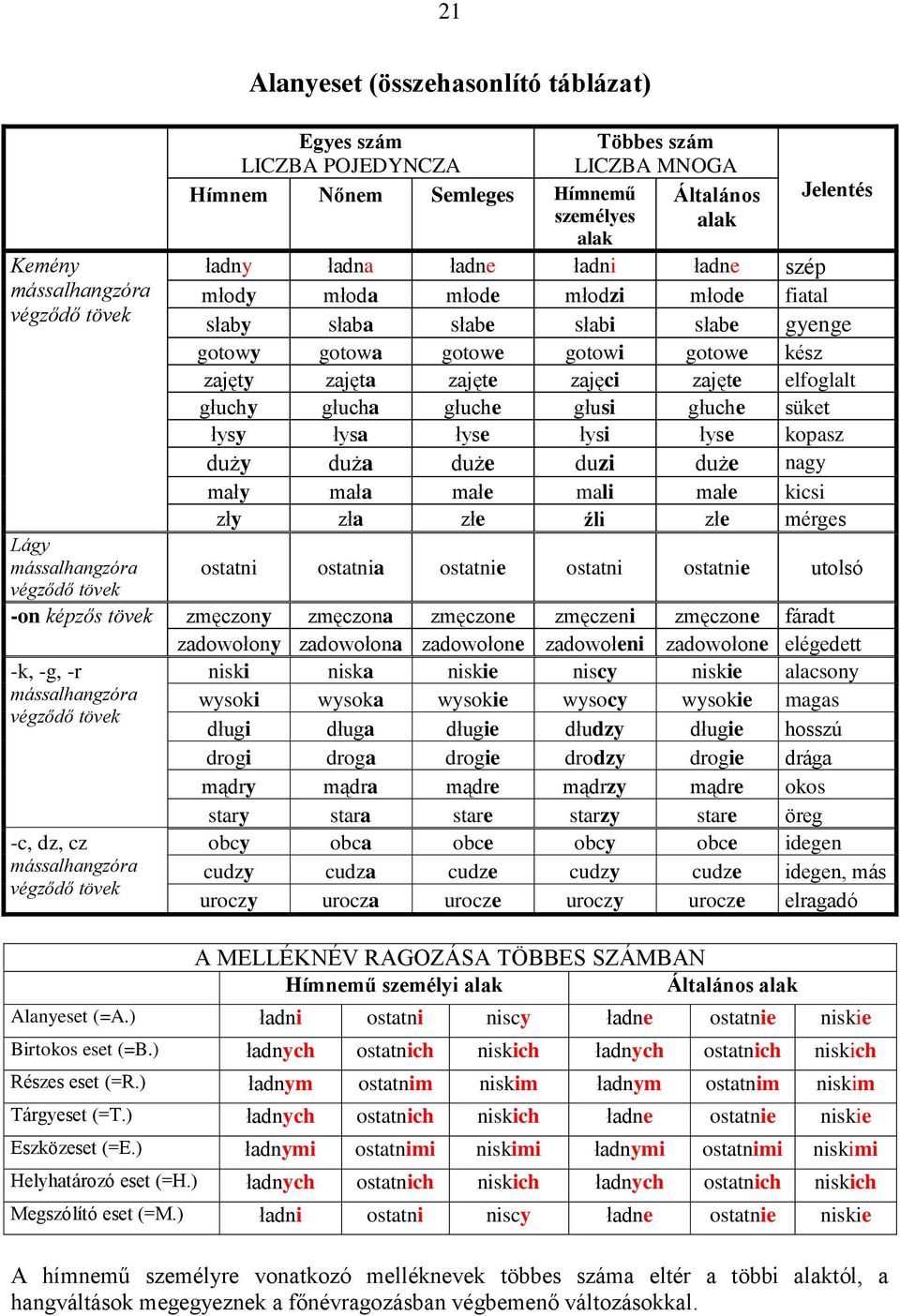 głuche głusi głuche süket łysy łysa łyse łysi łyse kopasz duży duża duże duzi duże nagy mały mała małe mali małe kicsi zły zła złe źli złe mérges Lágy mássalhangzóra ostatni ostatnia ostatnie ostatni