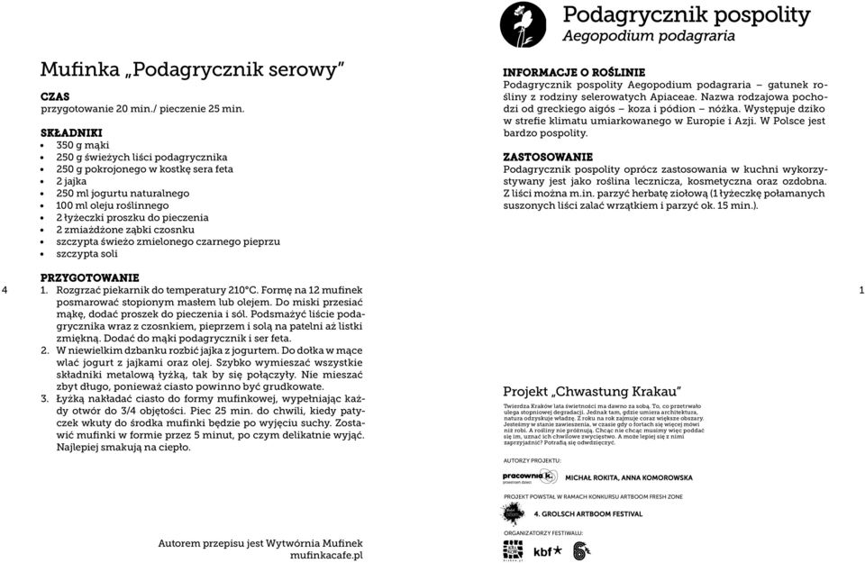 czosnku szczypta świeżo zmielonego czarnego pieprzu szczypta soli Informacje o roślinie Podagrycznik pospolity Aegopodium podagraria gatunek rośliny z rodziny selerowatych Apiaceae.