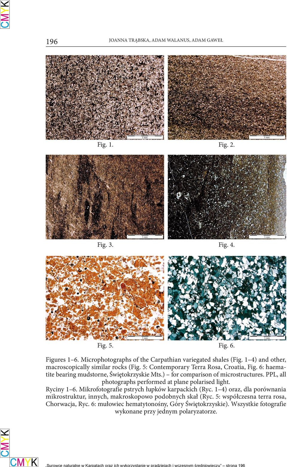 Ryciny 1 6. Mikrofotografie pstrych łupków karpackich (Ryc. 1 4) oraz, dla porównania mikrostruktur, innych, makroskopowo podobnych skał (Ryc. 5: współczesna terra rosa, Chorwacja, Ryc.