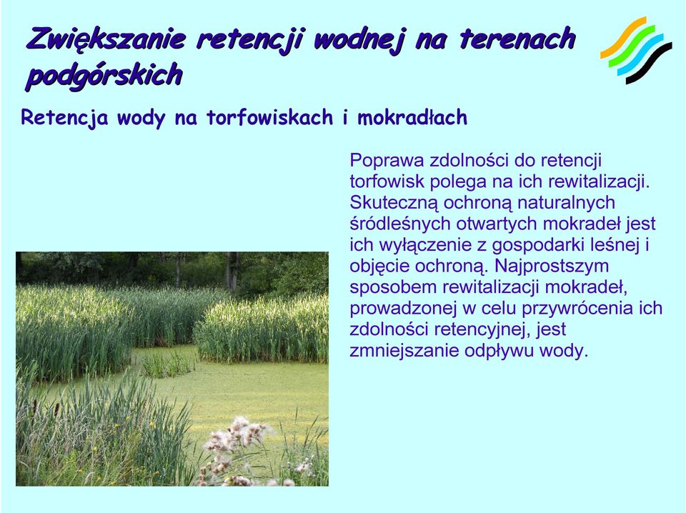 Skuteczną ochroną naturalnych śródleśnych otwartych mokradeł jest ich wyłączenie z gospodarki leśnej i