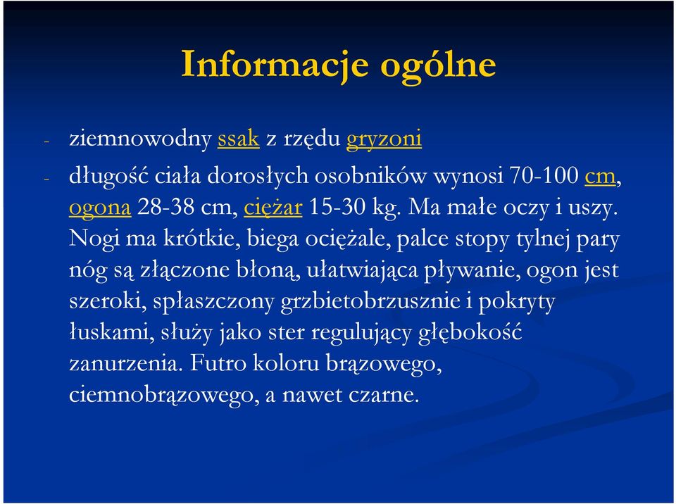 Nogi ma krótkie, biega ociężale, palce stopy tylnej pary nóg są złączone błoną, ułatwiająca pływanie, ogon