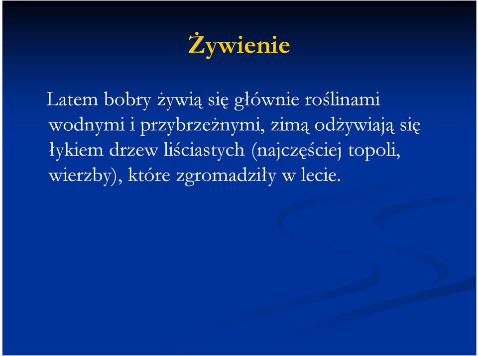 odżywiają się łykiem drzew liściastych