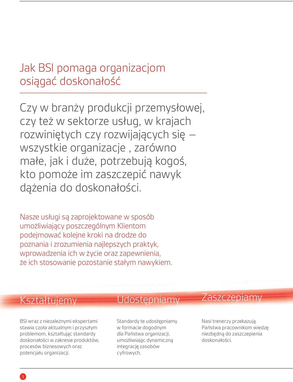 Nasze usługi są zaprojektowane w sposób umożliwiający poszczególnym Klientom podejmować kolejne kroki na drodze do poznania i zrozumienia najlepszych praktyk, wprowadzenia ich w życie oraz