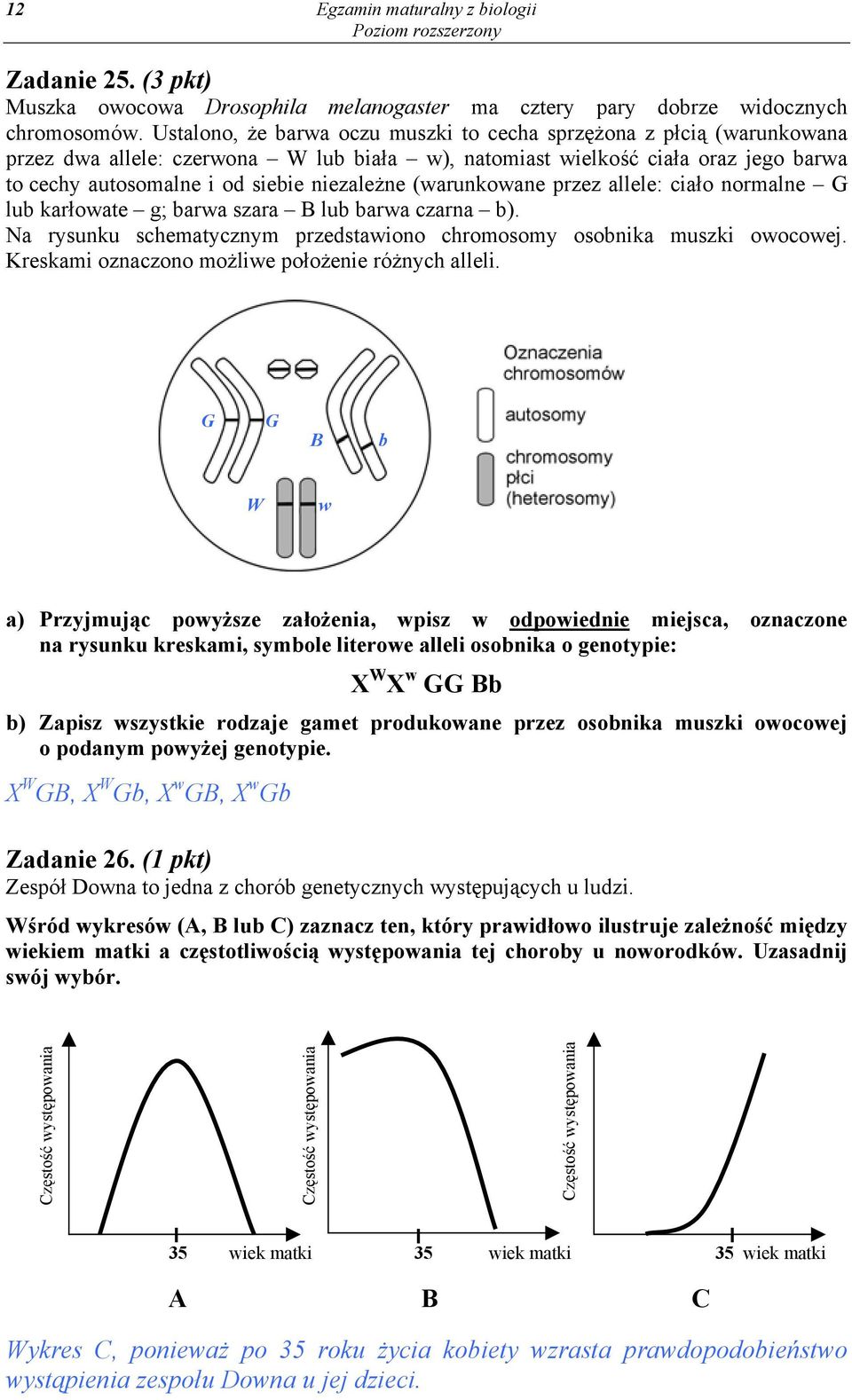 przez allele: ciał nrmalne G lub karłwate g; barwa szara B lub barwa czarna b). Na rysunku schematycznym przedstawin chrmsmy sbnika muszki wcwej. Kreskami znaczn mżliwe płżenie różnych alleli.