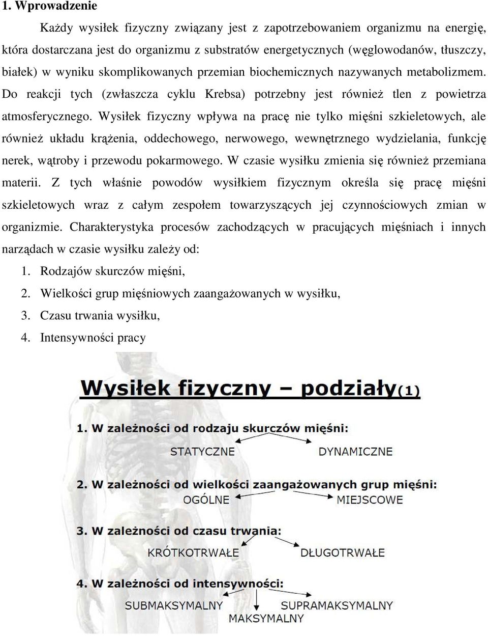 Wysiłek fizyczny wpływa na pracę nie tylko mięśni szkieletowych, ale również układu krążenia, oddechowego, nerwowego, wewnętrznego wydzielania, funkcję nerek, wątroby i przewodu pokarmowego.