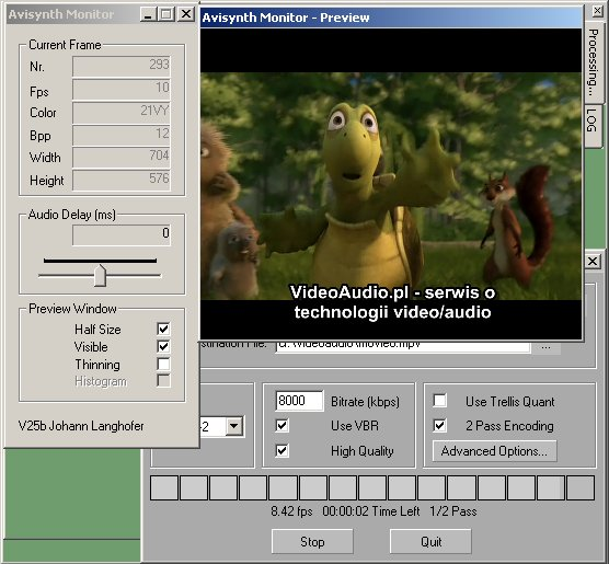 Jeśli aktywowaliśmy Pokaż monitor AviSynth po rozpoczęciu konwersji video pojawi się okno podglądu. Możemy w nim zaznaczyć Half Size oraz Visible.
