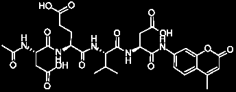 Opis procedury ćwiczeń: Na zajęciach studenci wykonają analizę oznaczania aktywności enzymatycznej kaspazy 3 używając fluorescencyjnego substratu (AC-DEVD-AMC).