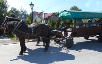 SZLAK RZEKI KAMIENNEJ Galeria zabytkowy Młyn Wóz konny zabiera turystów w podróż po Bałtowie. Jest to okazja do podziwiania pięknych widoków i poznania historii tej miejscowości.