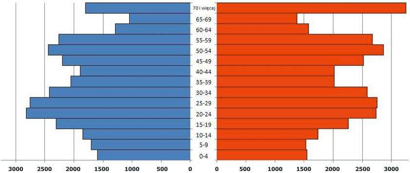Wykres 7. Piramida wieku za rok 2006.