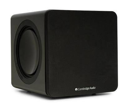 minx Subwoofer X200 1690 zł X200 jest jednym z najmniejszych na świecie subwooferów aktywnych. Jest przy tym zaskakująco wielki w swoim brzmieniu.