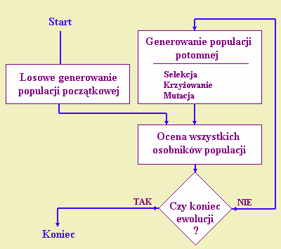 1 ALGORYTMY FITNESS F. START COMPUTATION FITNESS F. COMPUTATION EWOLUCYJNE INITIAL SUBPOPULATION SENDING CHROM. TO COMPUTERS chromosome AND RECEIVING FITNESS F.