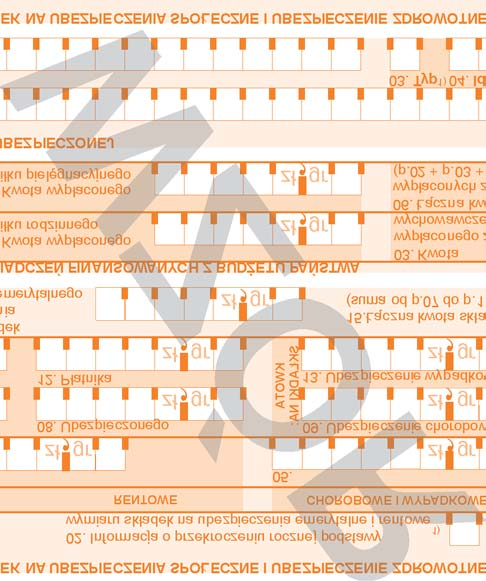 210 Załączniki Załącznik nr 8 P ATNIK WYPE NIA TYLKO POLA JASNE W WYZNACZONYCH KRATKACH KOMPUTEROWO, NA MASZYNIE LUB RÊCZNIE DU YMI DRUKOWANYMI LITERAMI, CZARNYM LUB NIEBIESKIM KOLOREM.