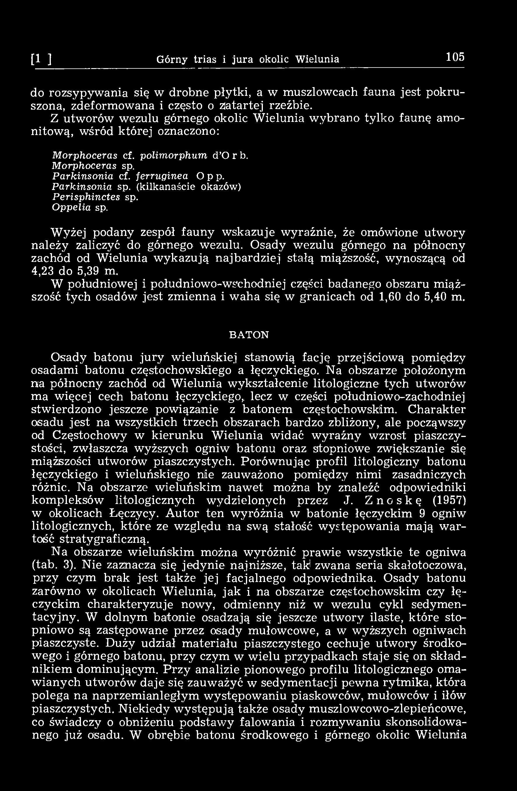 [15] Górny trias i jura okolic Wielunia 105 do rozsypywania się w drobne płytki, a w muszlowcach fauna jest pokruszona, zdeformowana i często o zatartej rzeźbie.