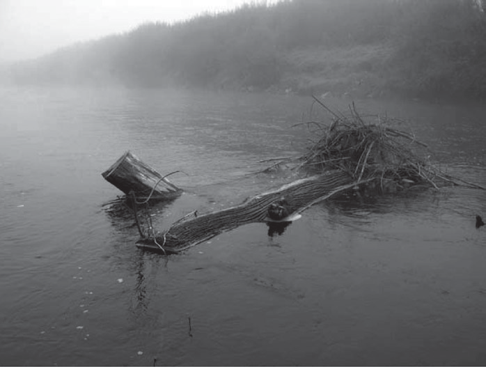 38 A. Radecki-Pawlik, M. Wieczorek, K. Plesiński Rys. 2. Rumosz drzewny zdeponowany w rzece Rabie (fot. A. Radecki-Pawlik) Fig. 2. Woody debris located in Raba River (photo A.