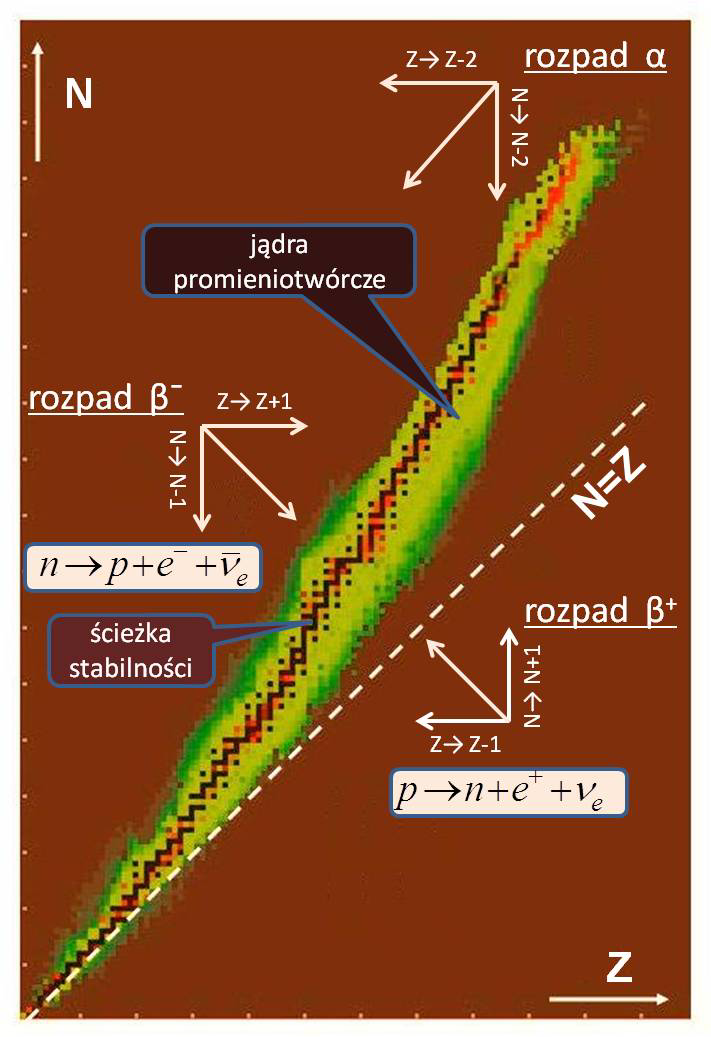 W tym przypadku energię reakcji możemy zapisać jako Q WE = = {[ M ( Z, ) + me ] M ( Z 1, ) } c { M ( Z, ) [ M ( Z 1, ) m } c e (.1B.