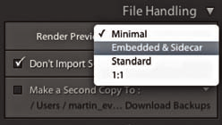Panel File Handling Rysunek 2.12. Pełny widok opcji panelu File Handling (na górze) i opcji Render Previews (na dole) W panelu File Handling (rysunek 2.