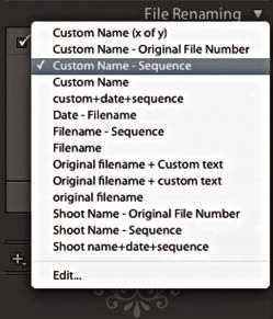 Panel File Renaming Jeśli chcesz skutecznie zarządzać zdjęciami, istotne jest nadawanie im nazw najwcześniej jak to możliwe.