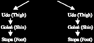 Łączenie hierarchiczne Łączenia hierarchicznego używa się do powiązania ze sobą ą poszczególnych segmentów postaci lub kości szkieletu.