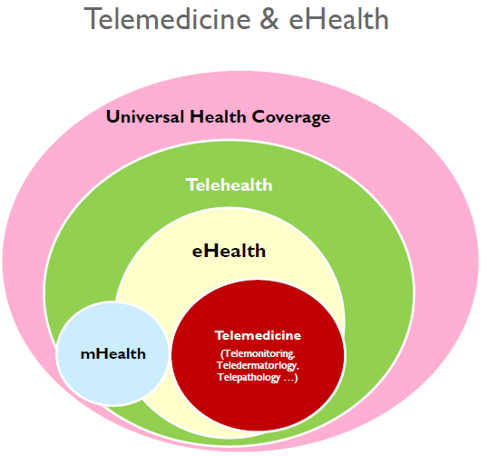 F. Lievens The Role of ISfTeH in The World of Telemedicine/eHealth konferencja