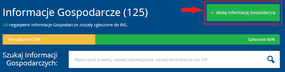 Instrukcja Użytkownika System BIG.