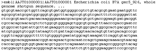 Bioinformatyczne bazy danych poziomy opisu funkcjonowania organizmów Bazy danych nukleotydów (ang.