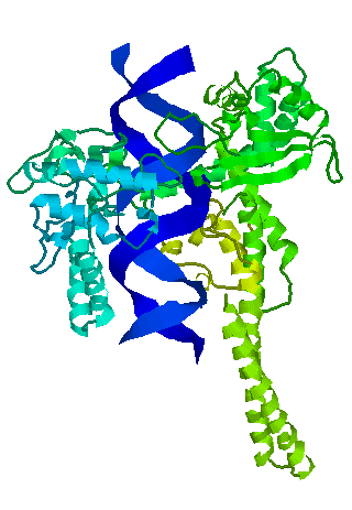 D. Mrozek nia klasyfikacji białek i pozwala przewidywać funkcję nowo odkrytego białka poprzez porównanie jego struktury przestrzennej ze strukturami białek przechowywanych w bazie i znalezienie