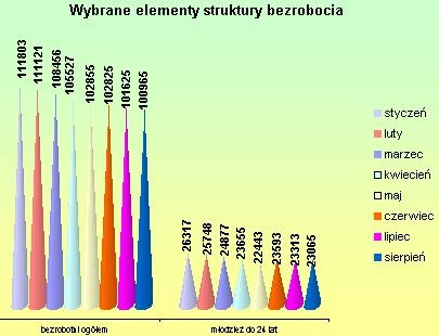 Wybrane elementy struktury bezrobocia styczeń luty marzec kwiecień maj czerwiec lipiec sierpień bezrobotni ogółem 111803 111121 108456 105527 102855 102825 101625 100965 młodzież do 24 lat 26317