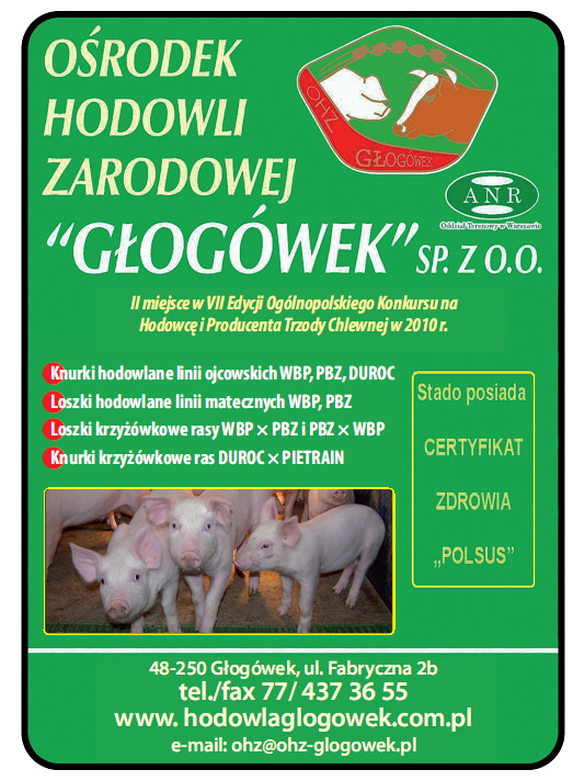 Stadnina Koni Walewice Sp. z o.o. oferuje:.