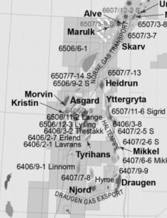 Działalność zagraniczna Norwegia Liczba licencji 18 Koszt zakupionych licencji 36 mln USD (Skarv) 1,95 mld NOK (Morvin, Vale, Vilje, Gina Krog) CAPEX Skarv (wyłącznie PGNiG) ok.