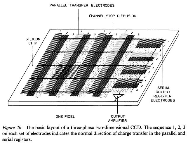Budowa matrycy CCD CCD to matryca pikseli, z których każdy zawiera najczęściej 3 elektrody Piksele