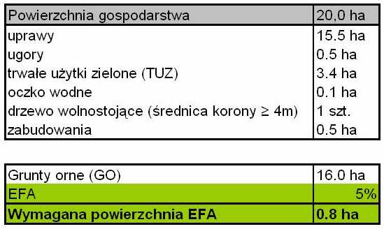 Opracowano w Departamencie Programowania i