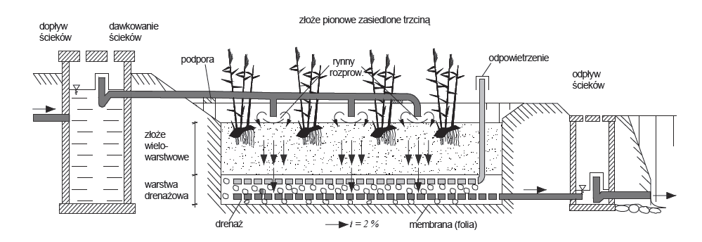 Efektywność usuwania związków 391 i korzeniami w zasadzie gwarantuje wystarczające warunki hydrauliczne nawet po upływie wielu lat, o ile złoże zbudowane jest z nieściśliwego, przepuszczalnego