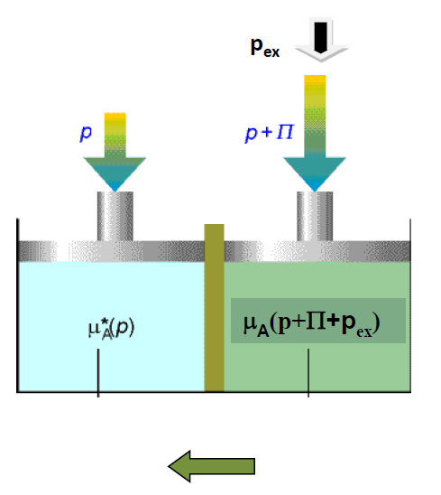 Osmoza odwrócona poprzez zwiększenie ciśnienia o p> po stronie roztworu bardziej stężonego, można odwrócić kierunek przepływu rozpuszczalnika z roztworu bardziej