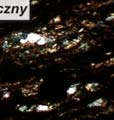 Analizy petrografi czne skał rejonu Rudnej, budujących cechsztyńskie formacje miedzionośne... 123