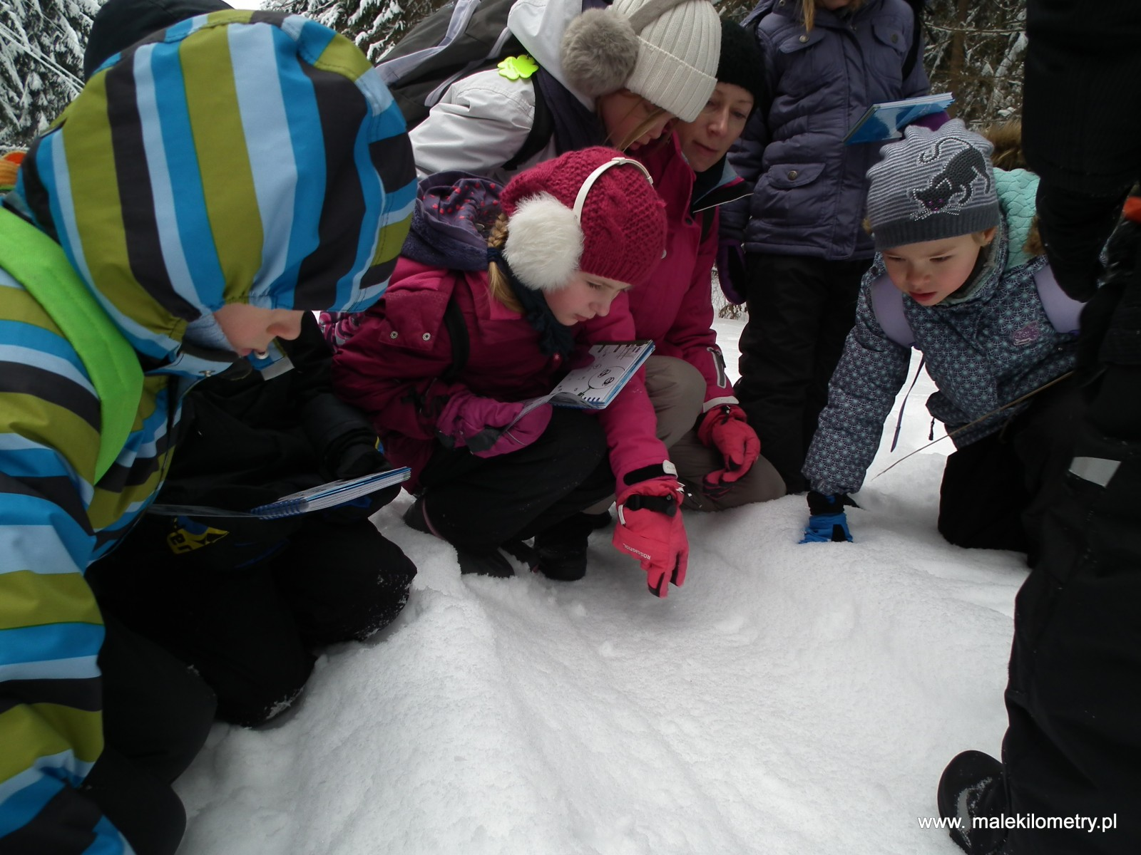 9 grudnia 2014 Zapraszamy dzieci na spotkanie z zimową przygodą, przyrodniczymi odkryciami, leśnymi podróżami, zabawami oraz witaminą N podczas zimowiska z Małymi Kilometrami.