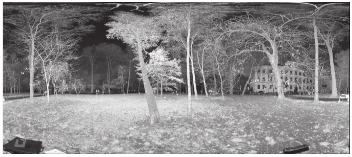 Tompalski P., Kozioł K.: Określanie wybranych parametrów drzew za pomocą naziemnego skaningu laserowego transekcie, wtedy stanowiska rozmieszczone są jedne za drugim, wzdłuż określonej osi (rys. 3D).