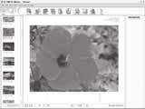 Przeglądanie zdjęć / sekwencji wideo W głównym menu aplikacji OLYMPUS Master, kliknij przycisk»browse Images«(Przeglądanie obrazów). Wyświetlone zostanie okno»browse«(przeglądaj).