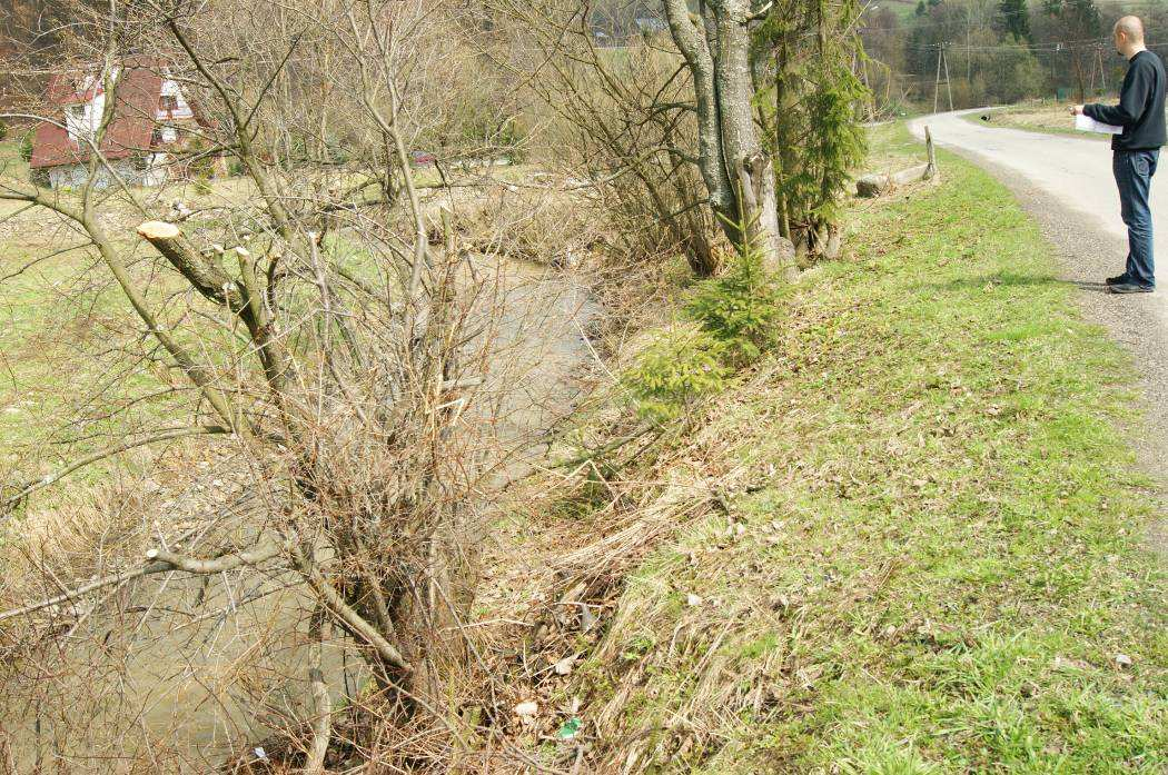 Drzewa przeznaczone do wycinki naniesiono na aktualną mapę zasadniczą (rys nr 2c). Poza wycinką wskazanych drzew teren należy wykarczować, aby usunąć samosiejki.